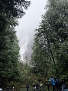 A scarce waterfall in the middle of the forest.